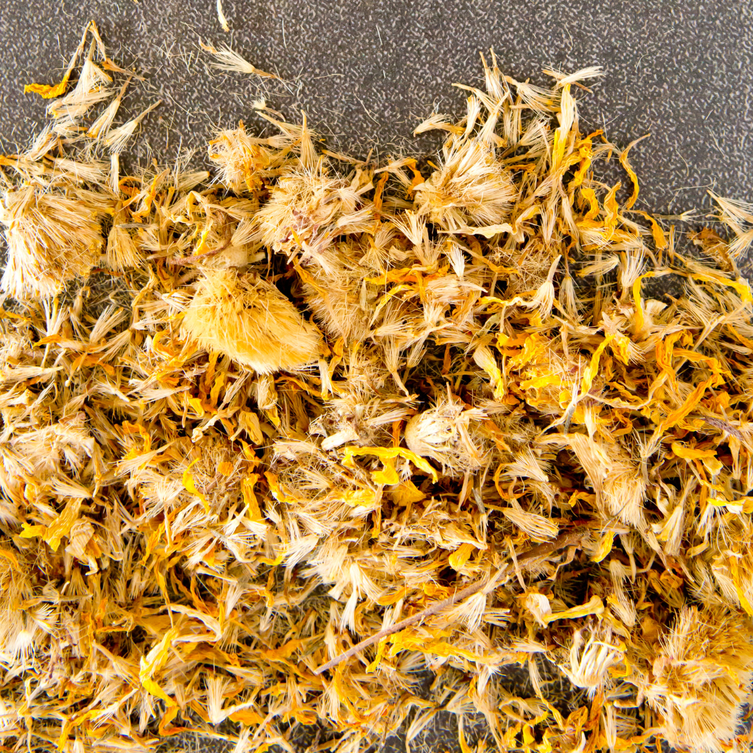 Arnica Flower (Dried) - 50gm