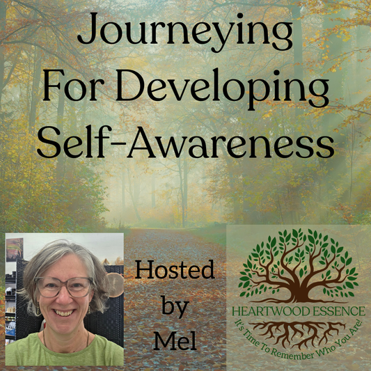 Journeying - For Self Awareness