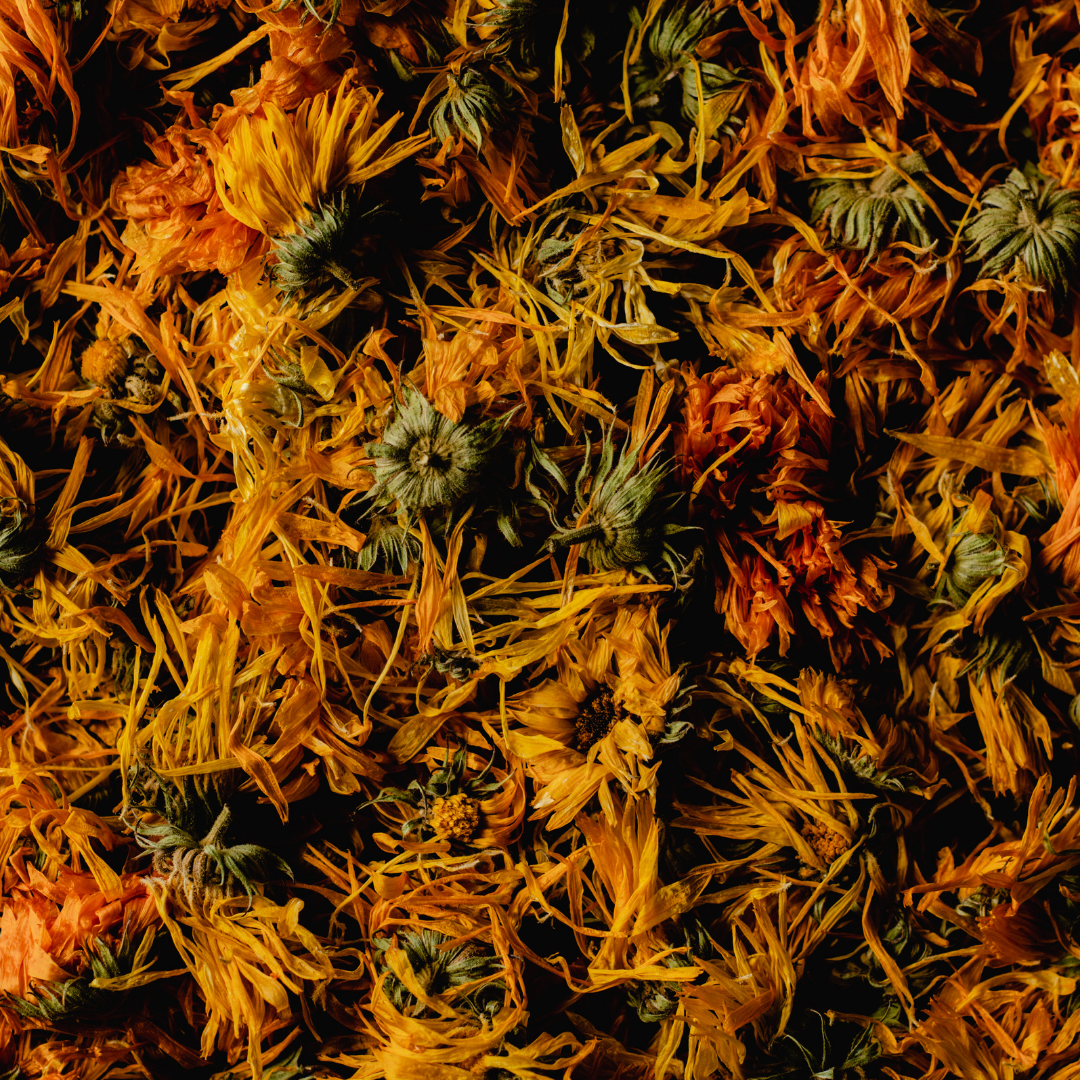 Calendula Whole Flowers - Cert Organic - 50gm