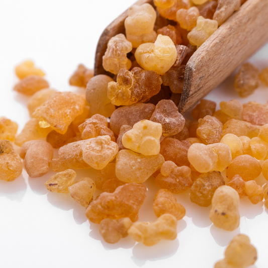 Resin - Frankincense Granules - Boswellia serrata - 10gm