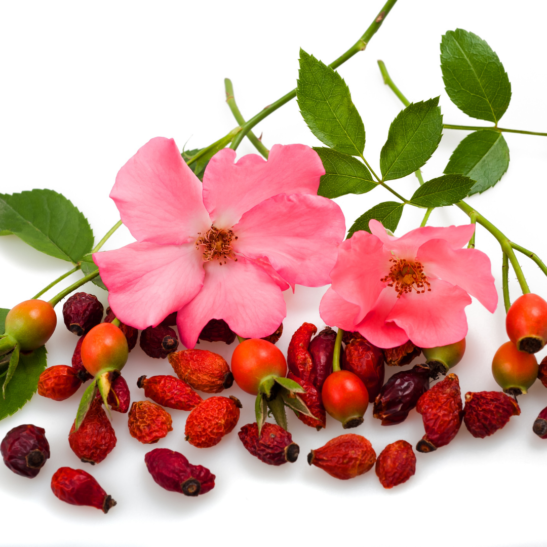 Rosehip Shells - Certified Organic - 50gm